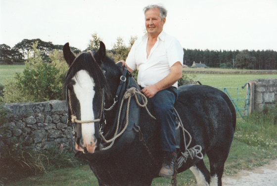 The horseman and his Clydesdale