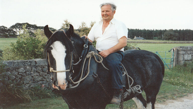 04 - The Clydesdale horse then 1919 and now 2019